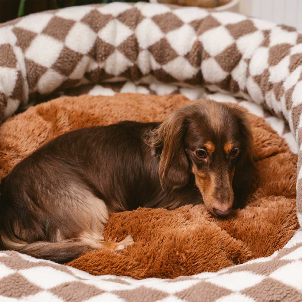 Cama para perros clásica lavable con diseño de donut y diseño de rombos - Cozy Haven