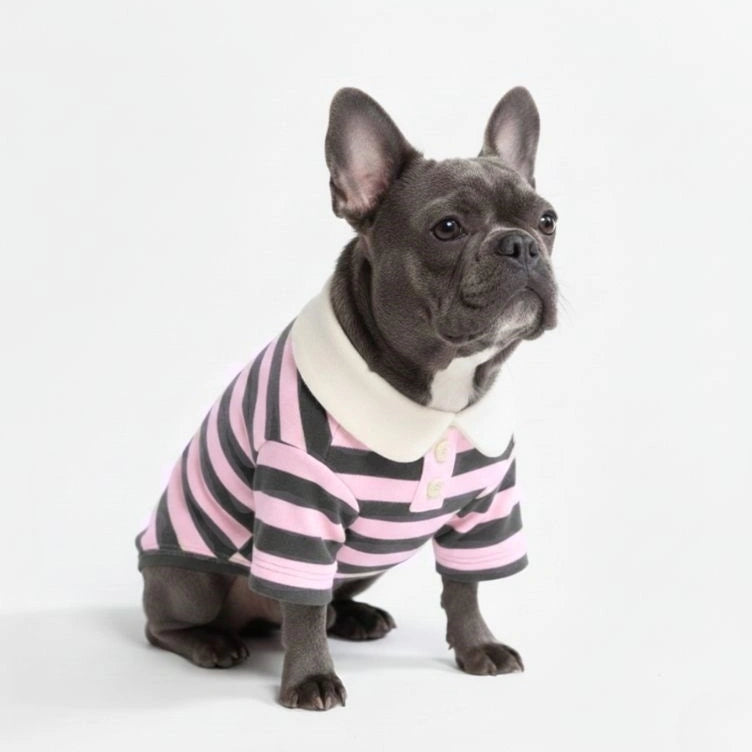 Camisas de perros de polo a rayas clásicas