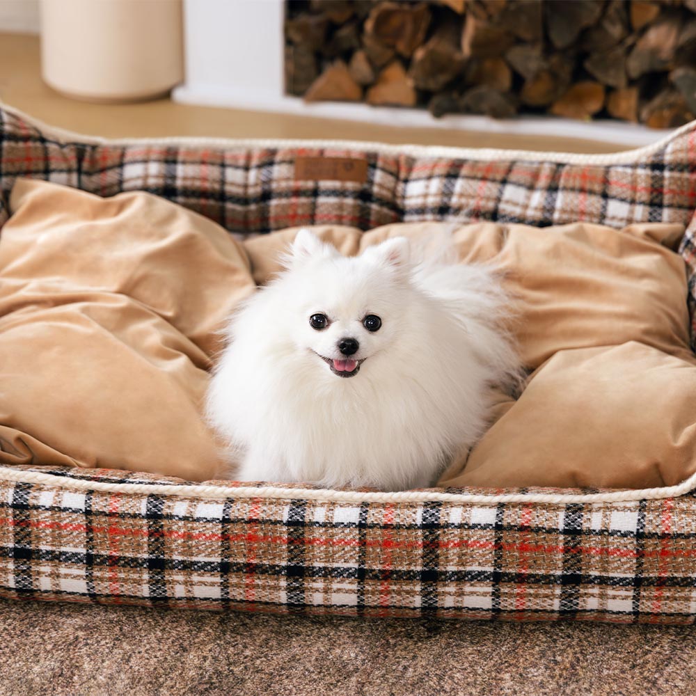 Cama para perros con cojines extraíbles, clásica y retro a cuadros, relajante - Nostalgic Retreat