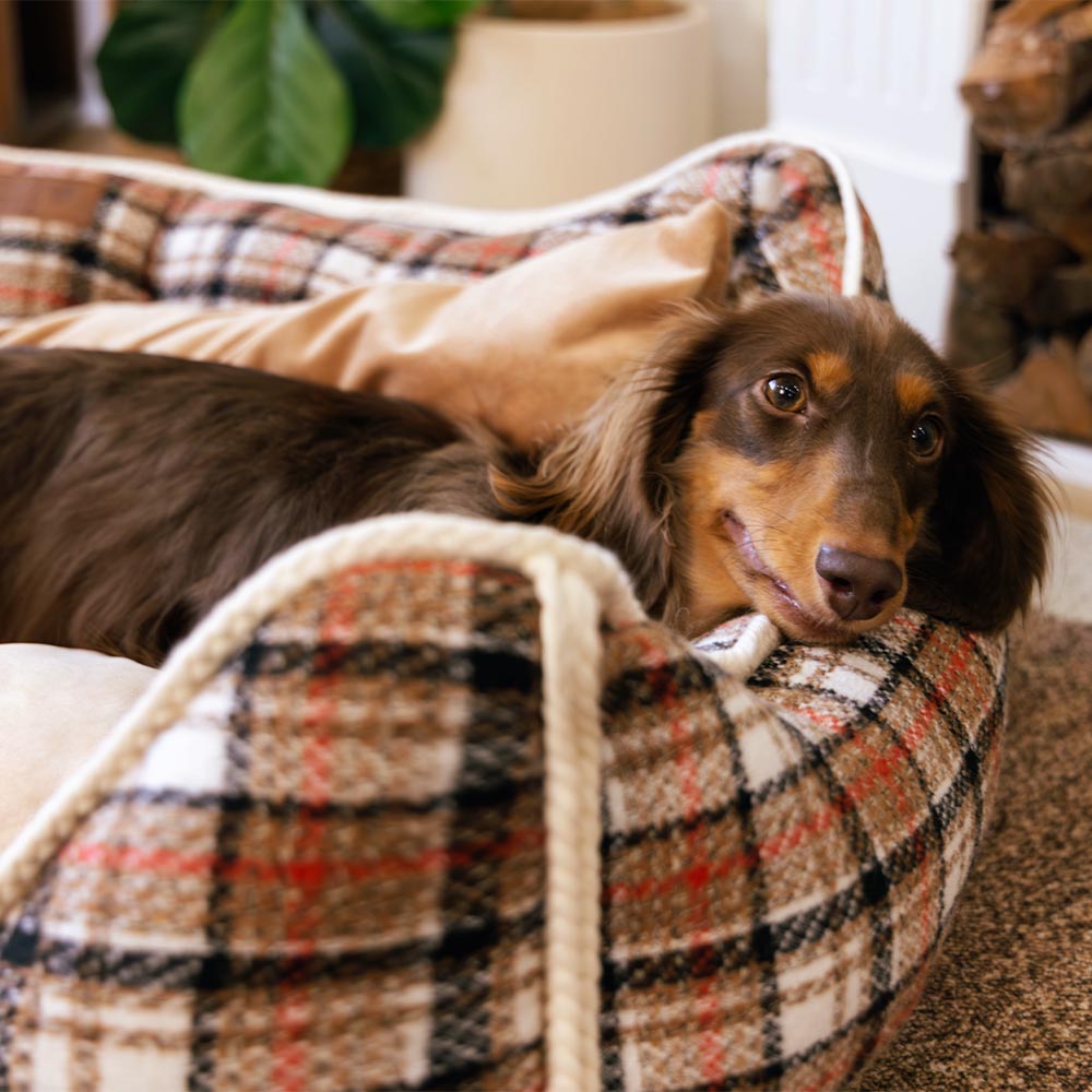 Cama para perros con cojines extraíbles, clásica y retro a cuadros, relajante - Nostalgic Retreat