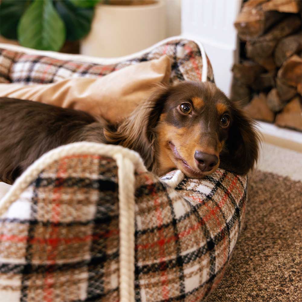 Cama para perros con cojines extraíbles, clásica y retro a cuadros, relajante - Nostalgic Retreat