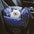 Cloud Luxury acolchado para perros asiento de asiento de asiento
