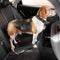 <tc>Color</tc>Cinturón de seguridad ajustable para perros con amortiguador completo