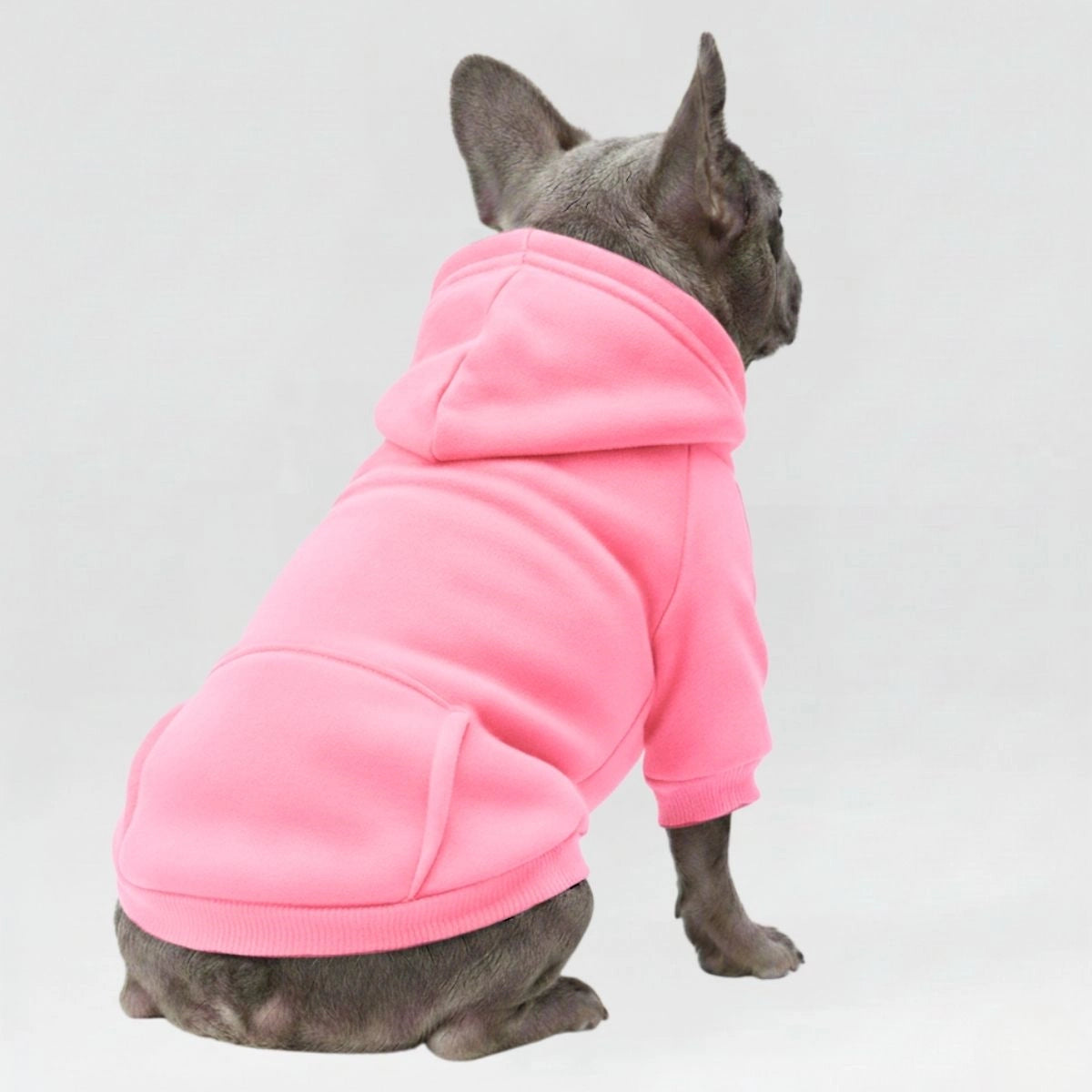 <tc>Color</tc>Sudaderas con capucha acogedoras y bonitas para perros: perfectas para la comodidad en todo tipo de clima