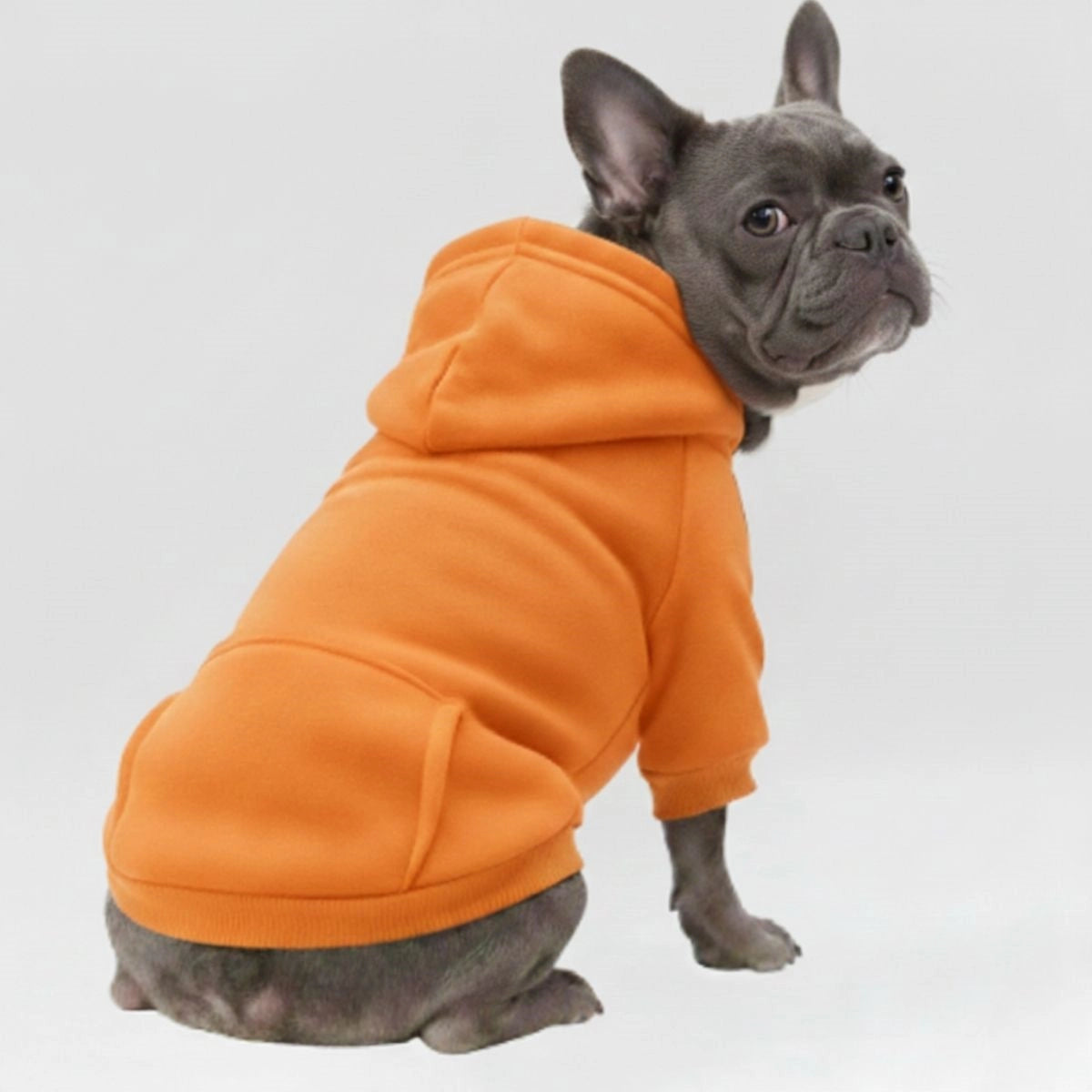 <tc>Color</tc>Sudaderas con capucha acogedoras y bonitas para perros: perfectas para la comodidad en todo tipo de clima