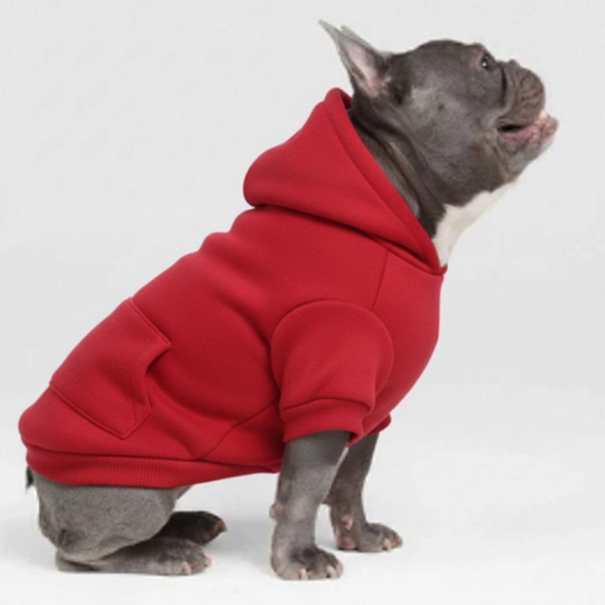<tc>Color</tc>Sudaderas con capucha acogedoras y bonitas para perros: perfectas para la comodidad en todo tipo de clima