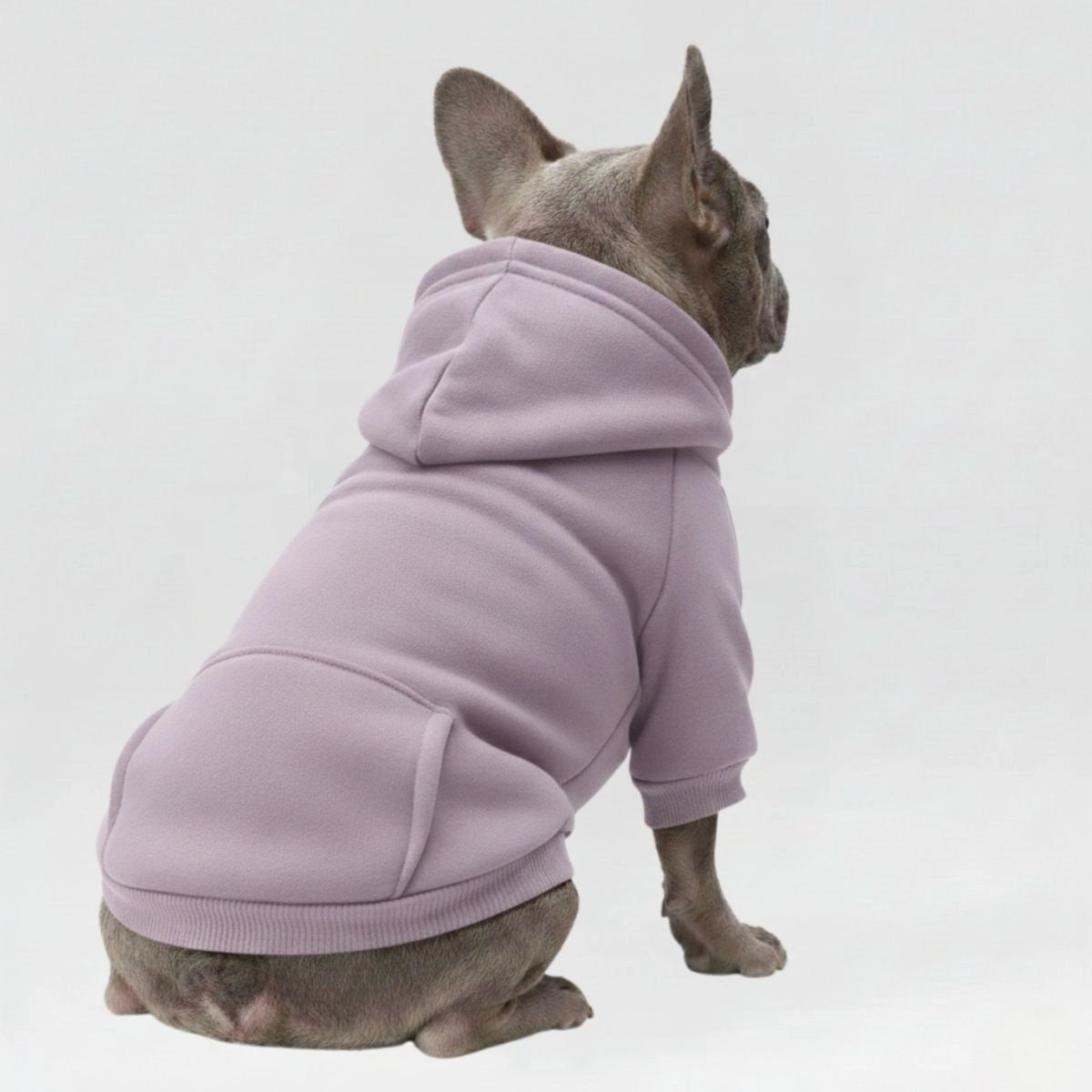 <tc>Color</tc>Sudaderas con capucha acogedoras y bonitas para perros: perfectas para la comodidad en todo tipo de clima