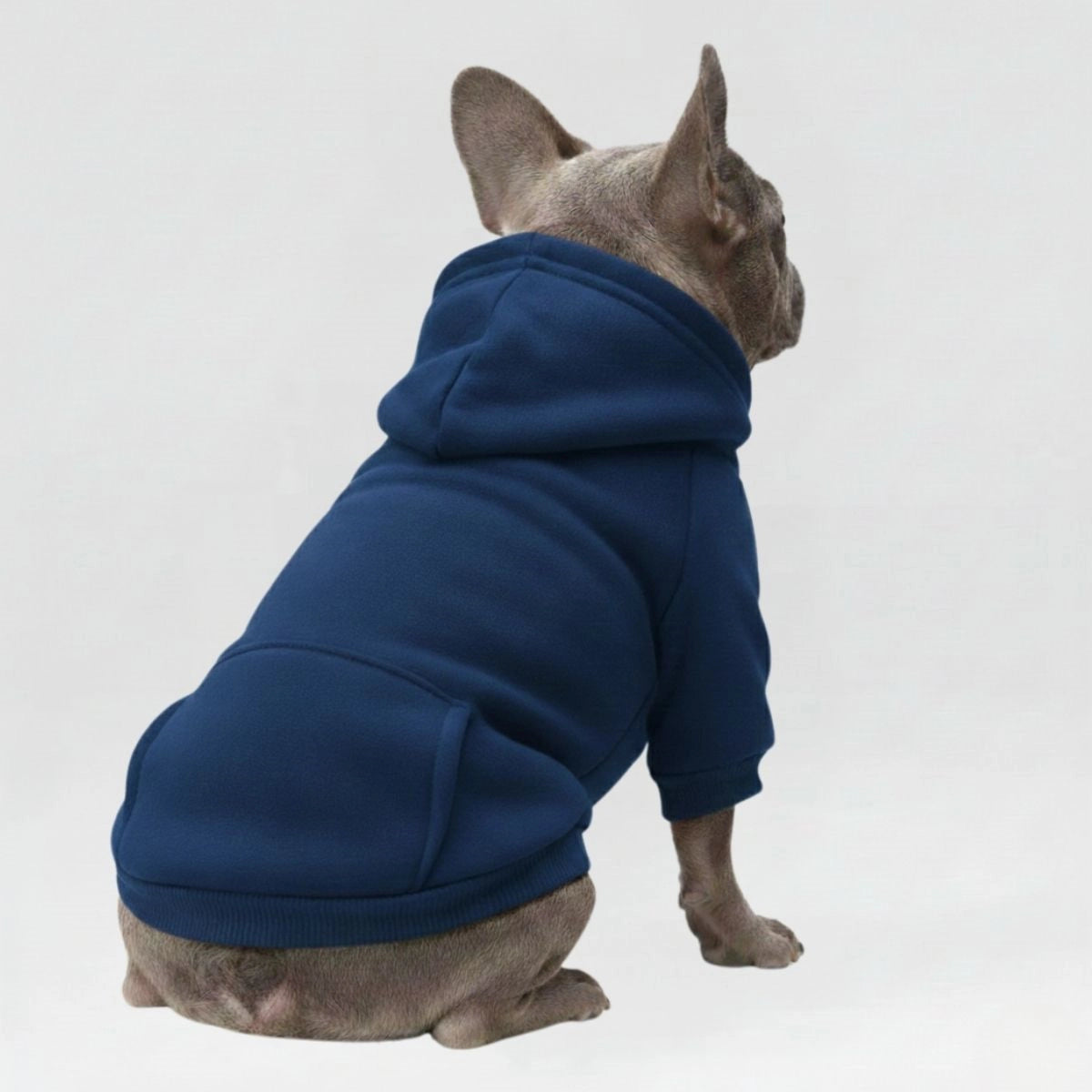 <tc>Color</tc>Sudaderas con capucha acogedoras y bonitas para perros: perfectas para la comodidad en todo tipo de clima