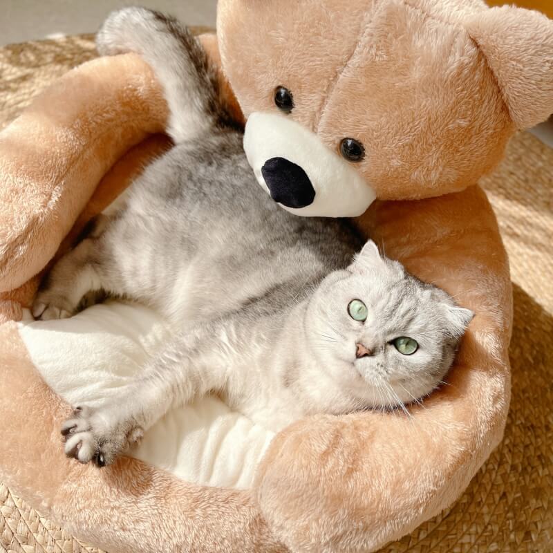 Cama de Gato Desmontable con Osito de Peluche Lindo