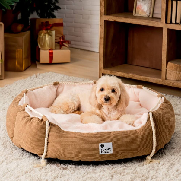 Lugar la cama de la cama de la cuerda lúdica Cama de perros y gato resistente a masticación