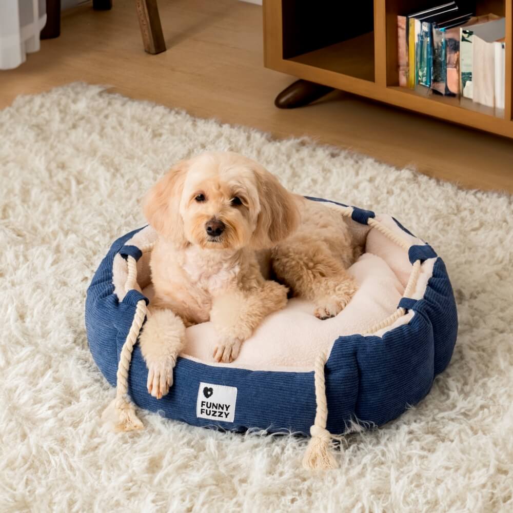 Lugar la cama de la cama de la cuerda lúdica Cama de perros y gato resistente a masticación