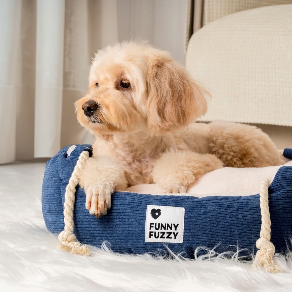 Lugar la cama de la cama de la cuerda lúdica Cama de perros y gato resistente a masticación
