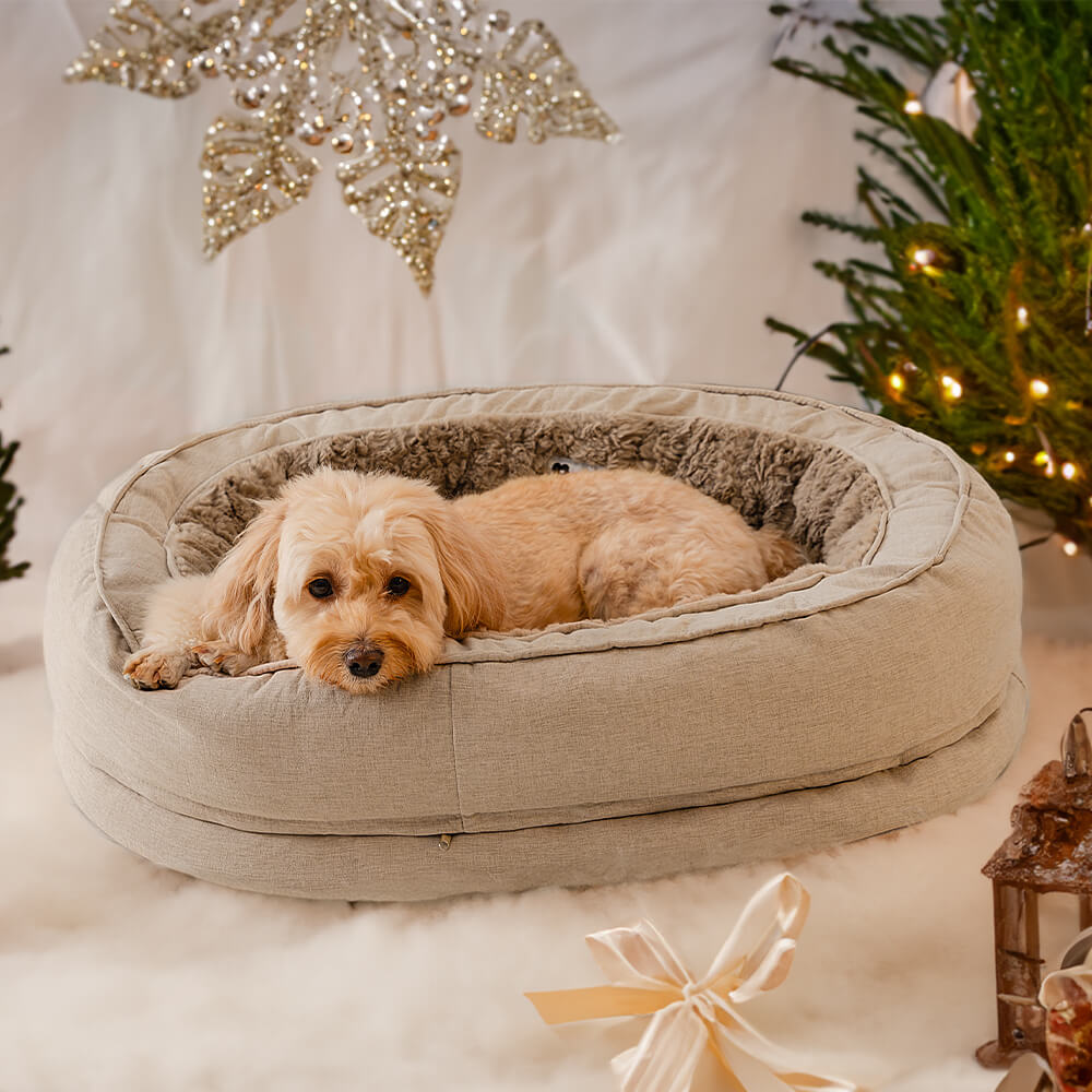 Cama ortopédica esponjosa en forma de rosquilla para perros