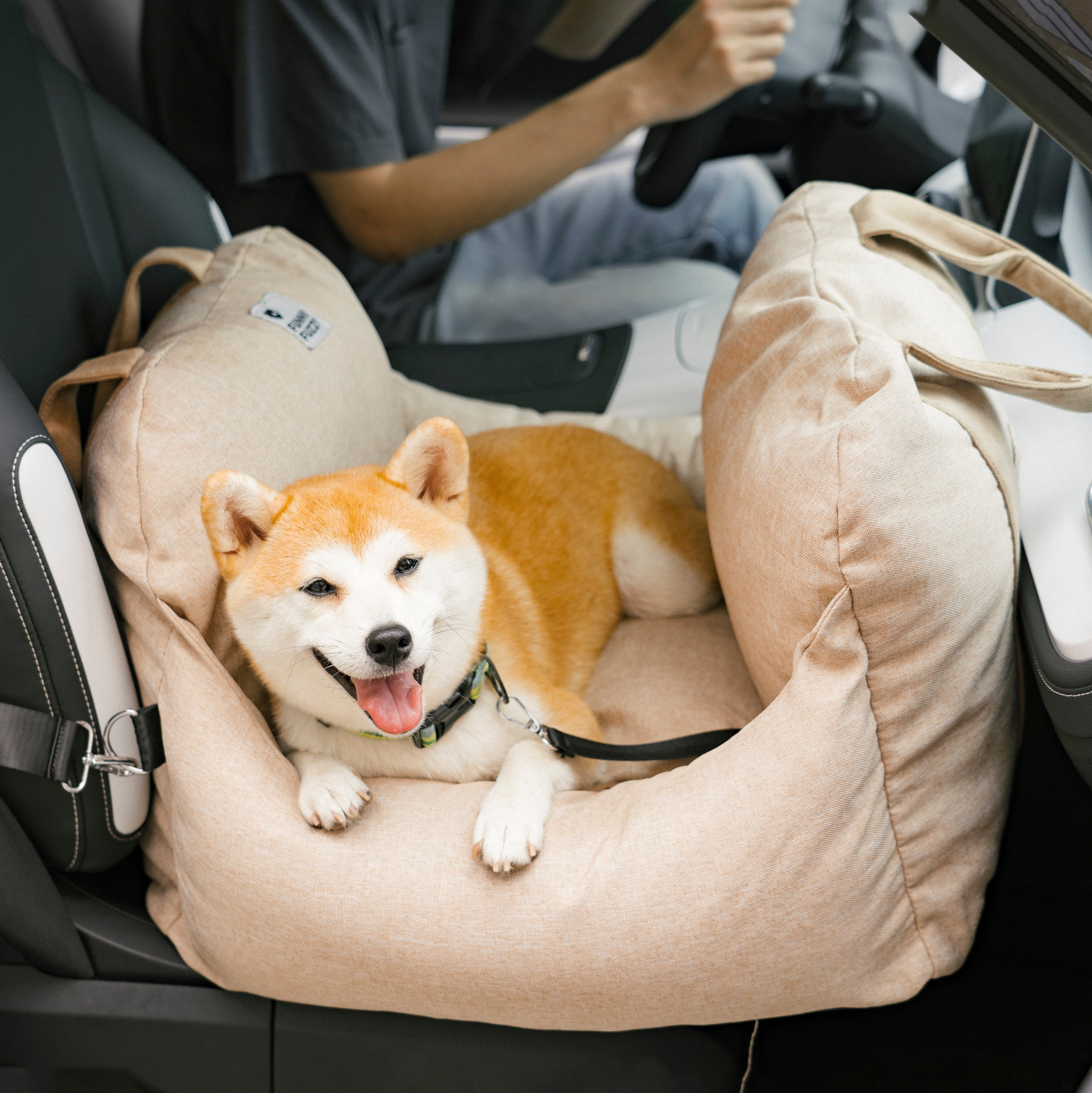 Cama para asiento de seguridad para automóvil para cachorros y perros Travel Safety - Primera clase