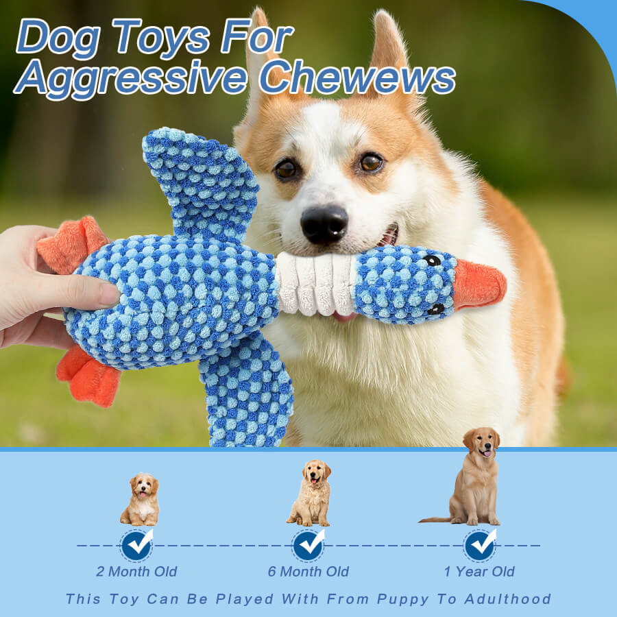 Juguete resistente a mordiscos para perros con squeaker - Pájaro