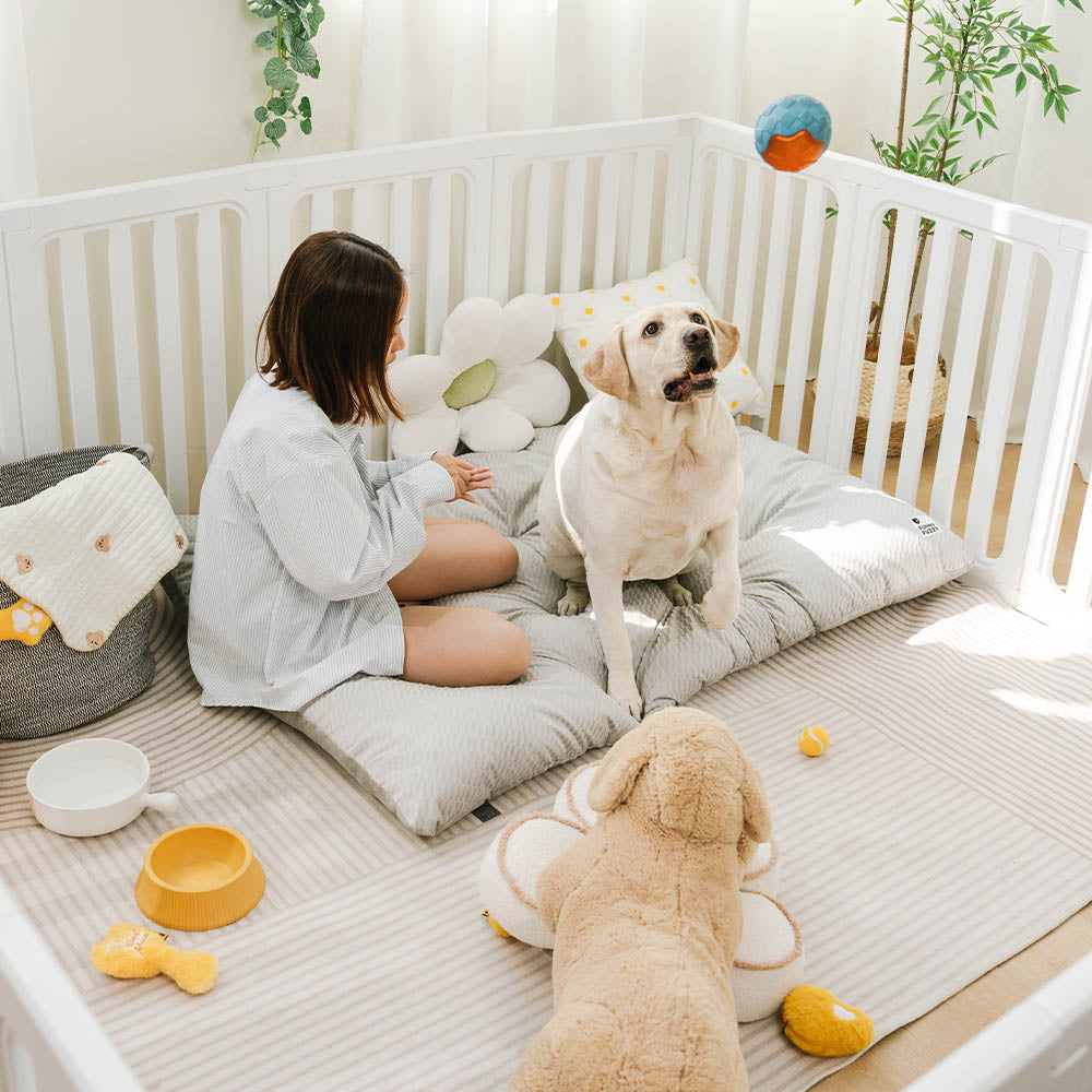 Alfombrillas para perros lavables de lujo de felpa de doble cara