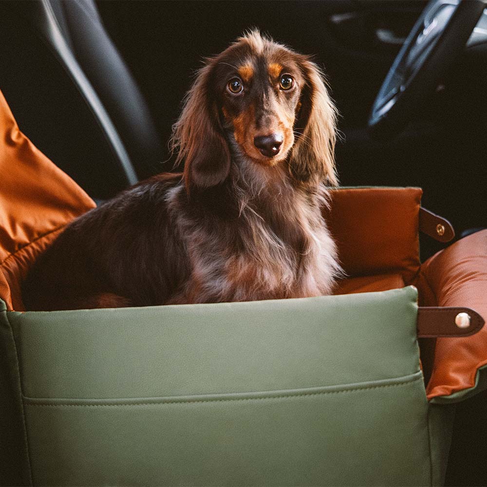 Asiento elevador para coche para perros de lujo con piel sintética elevada - Urban Voyager