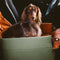 Cama elevada de asiento de asiento para perros de cuero para perros de cuero para perros - Voyager urbano