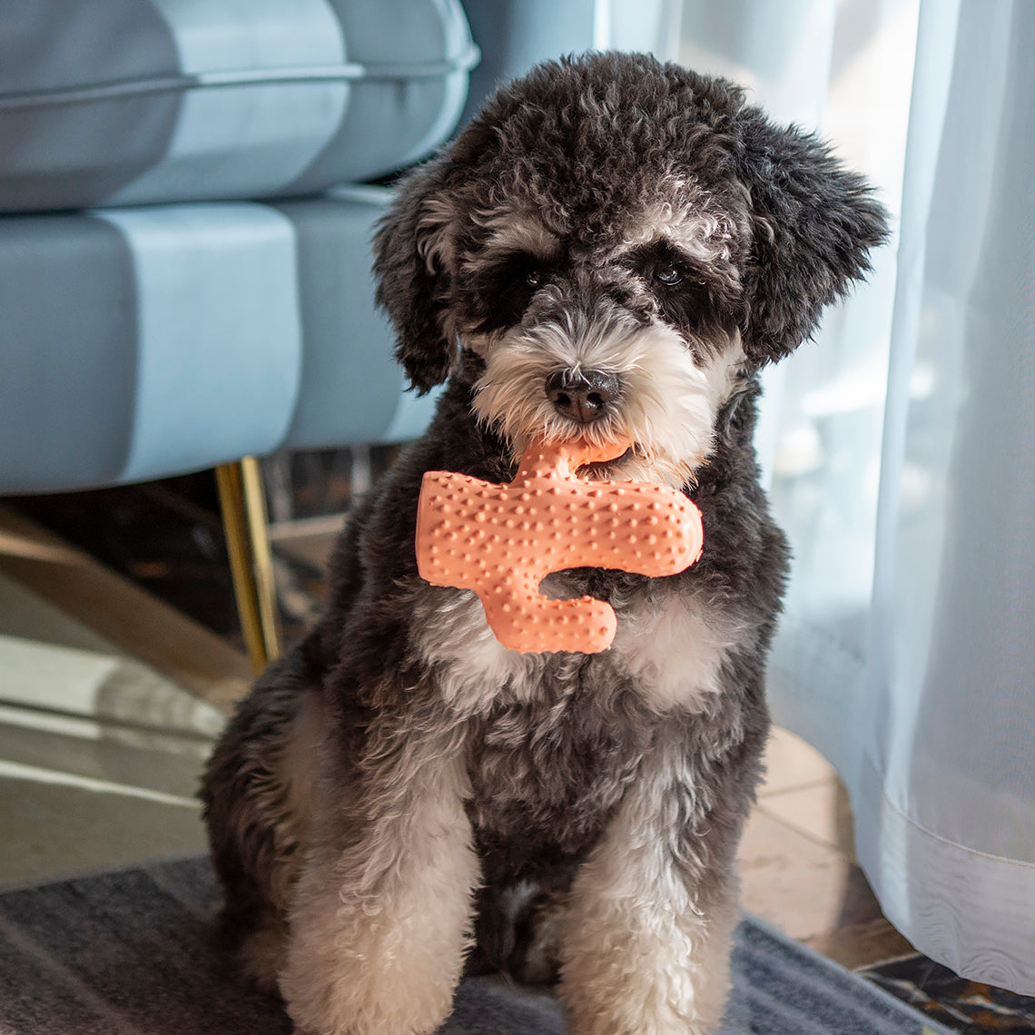 Juguete para perros con forma de cactus y sonido squeaky