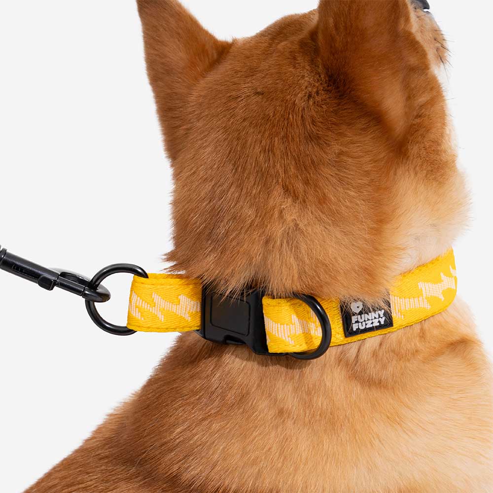 Collar para perros duradero de nailon ajustable FUNNYFUZZY - Flexi Walker