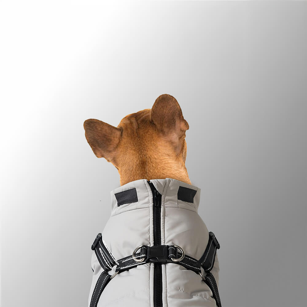 Chaqueta con arnés para perros ajustable, impermeable y cálida para exteriores