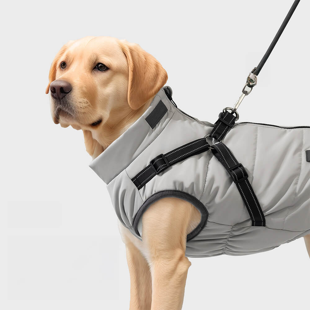 Chaqueta con arnés para perros ajustable, impermeable y cálida para exteriores