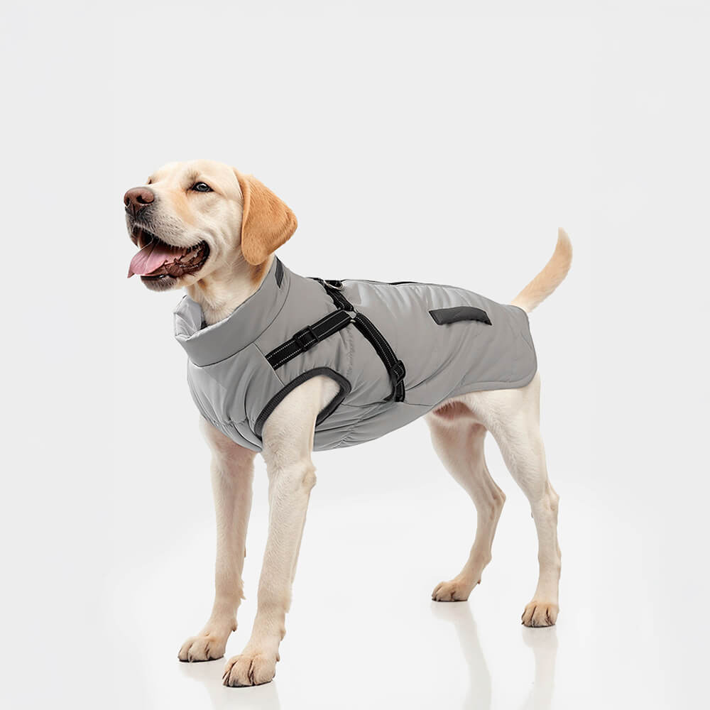 Chaqueta con arnés para perros ajustable, impermeable y cálida para exteriores