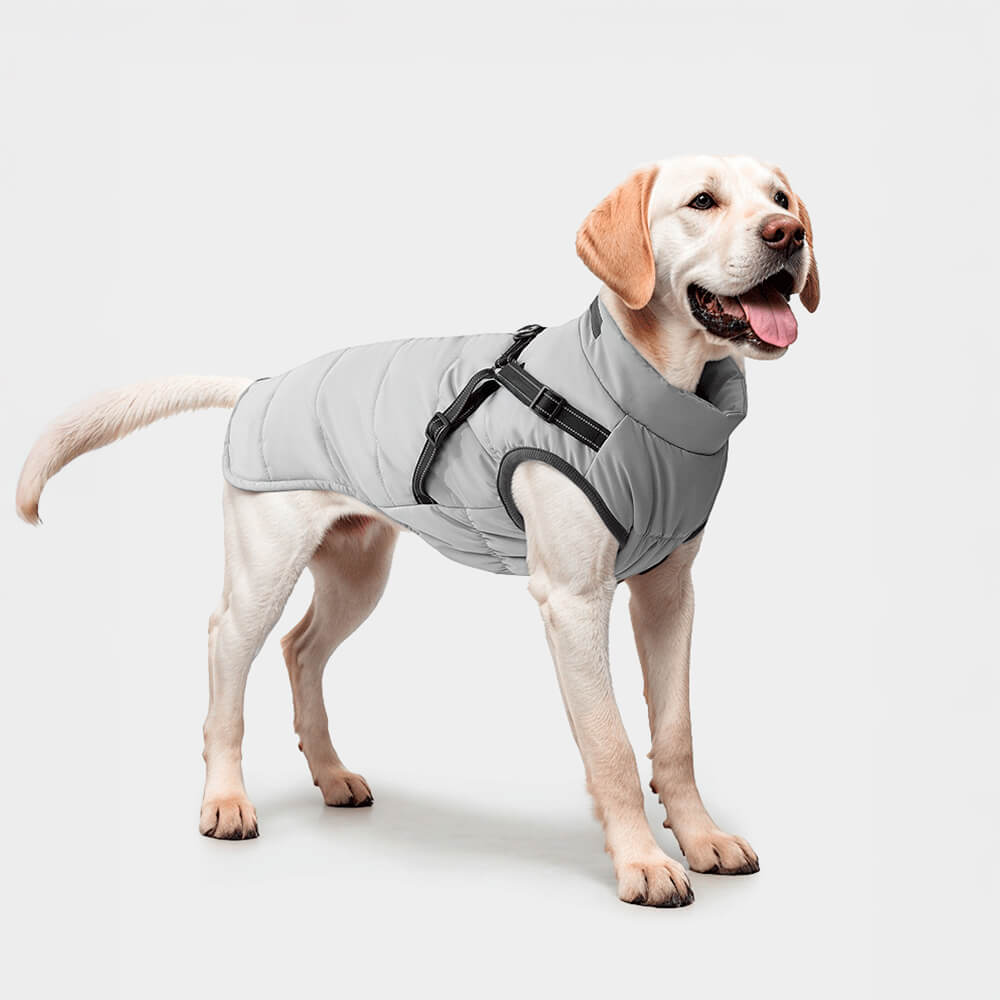 Chaqueta con arnés para perros ajustable, impermeable y cálida para exteriores