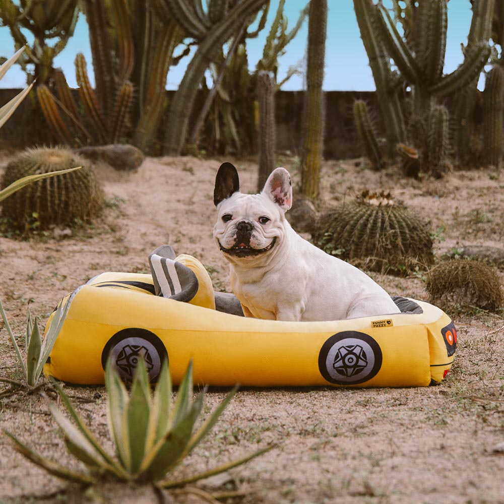 Cama para mascotas tipo sofá clásico convertible de carreras - Rápido y Peludo