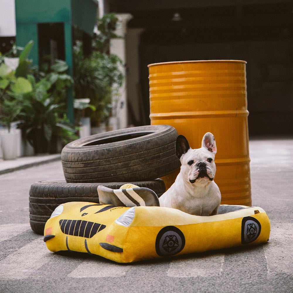 FUNNYFUZZY - Cama para perros con soporte para coche de carreras elegante - Glamour Drive