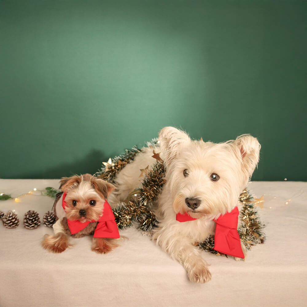 Bufanda para perros y gatos ajustable con lazo navideño