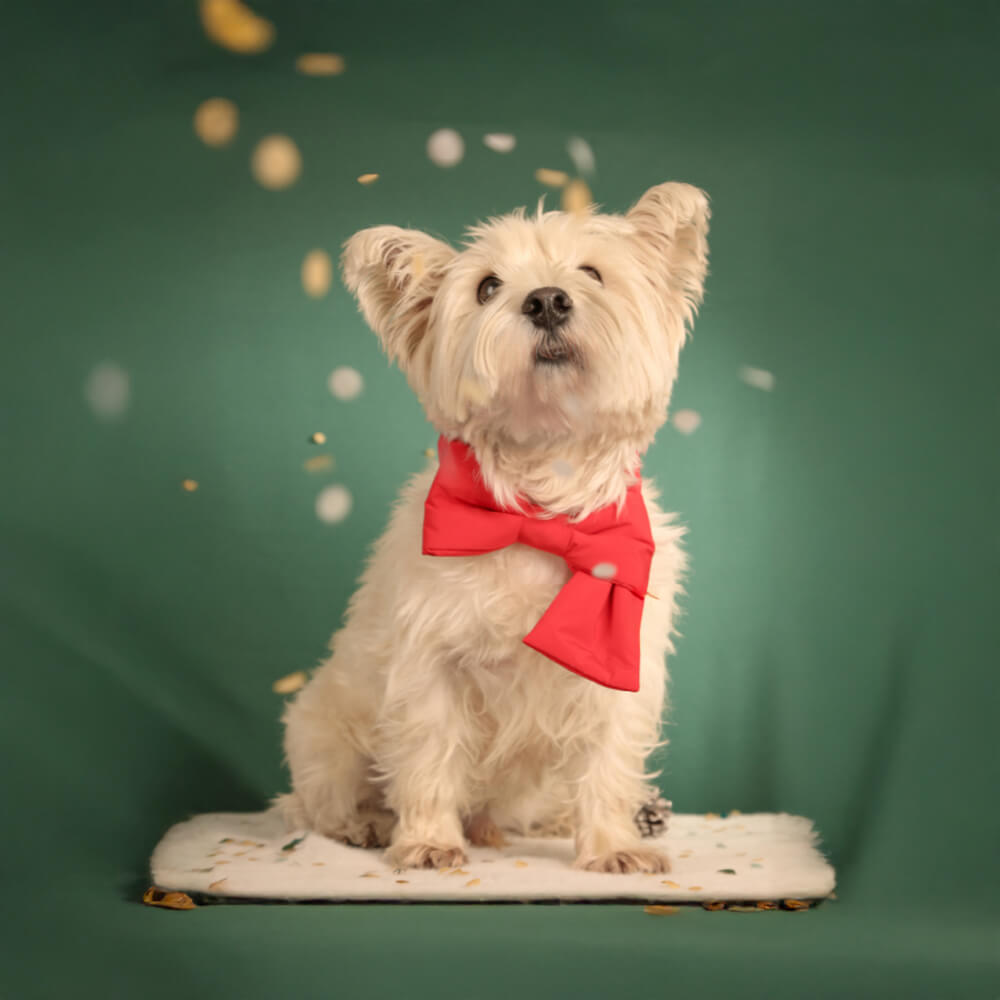 Bufanda para perros y gatos ajustable con lazo navideño