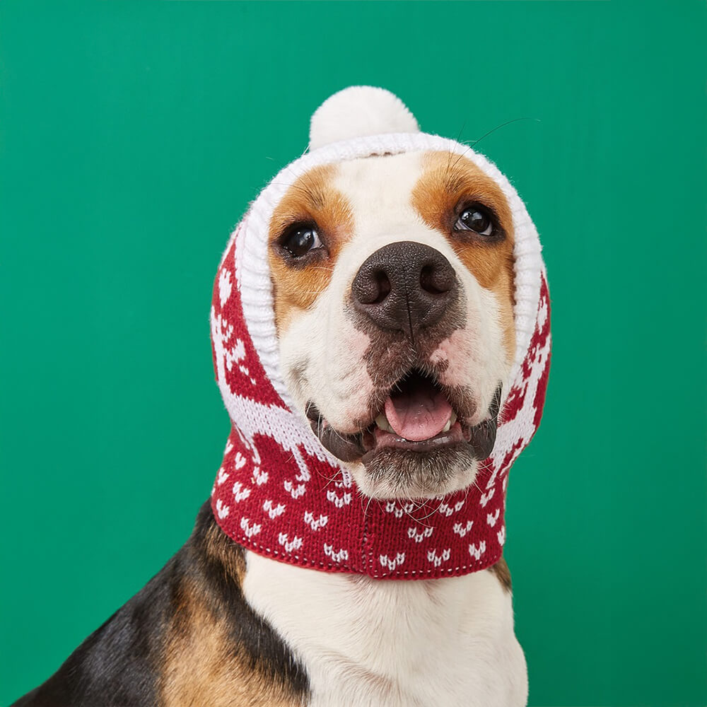 Gorro de punto cálido para perro y gato con copos de nieve y reno navideño