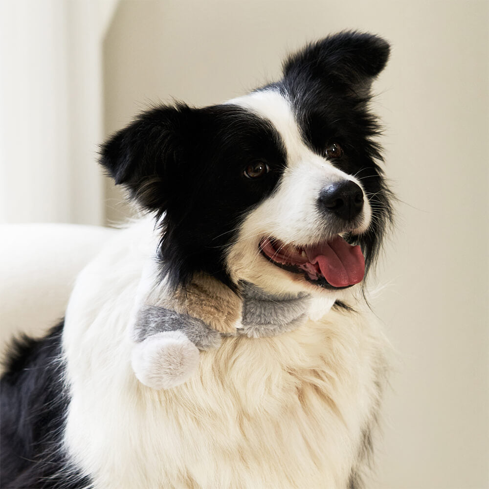 Collar tipo bufanda para perros y gatos duradero y de felpa suave con bloques de colores