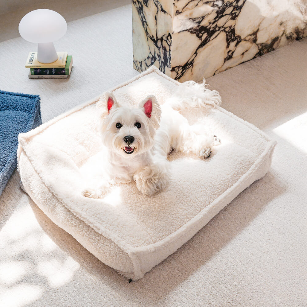 Cama ortopédica de tela de peluche con soporte curvo, impermeable, para perros y gatos