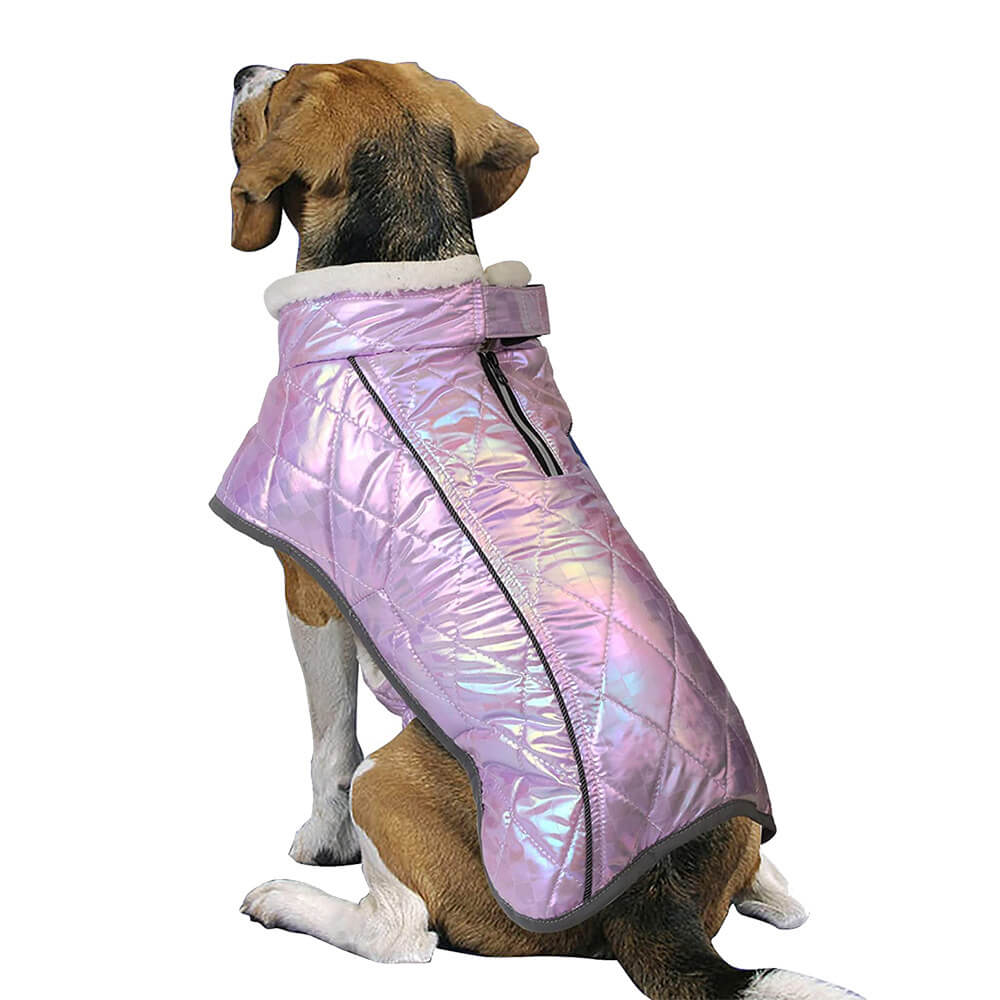 Chaqueta reflectante impermeable y colorida deslumbrante para perros