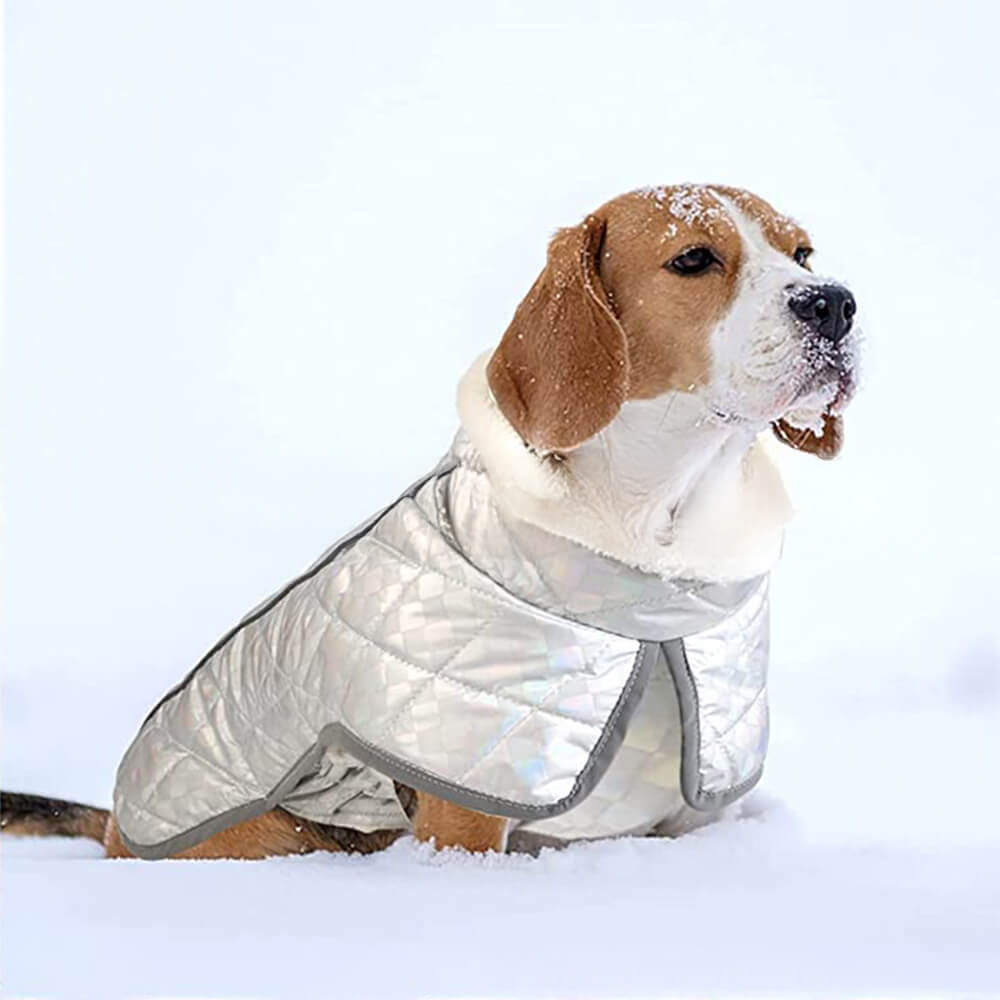 Chaqueta reflectante impermeable y colorida deslumbrante para perros