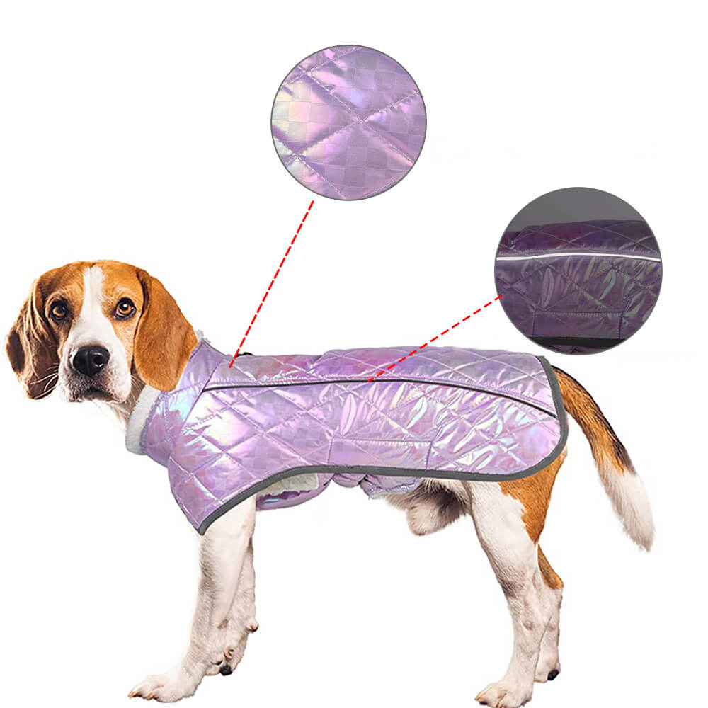 Chaqueta reflectante impermeable y colorida deslumbrante para perros