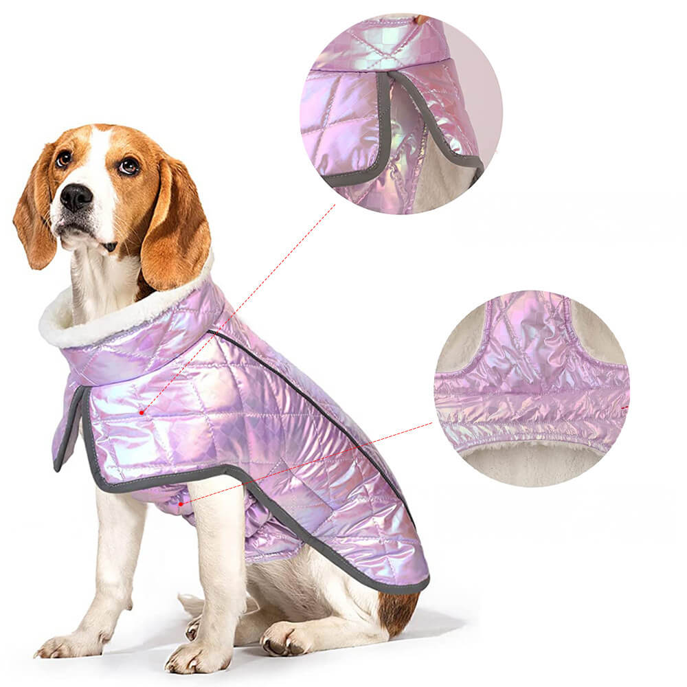 Chaqueta reflectante impermeable y colorida deslumbrante para perros