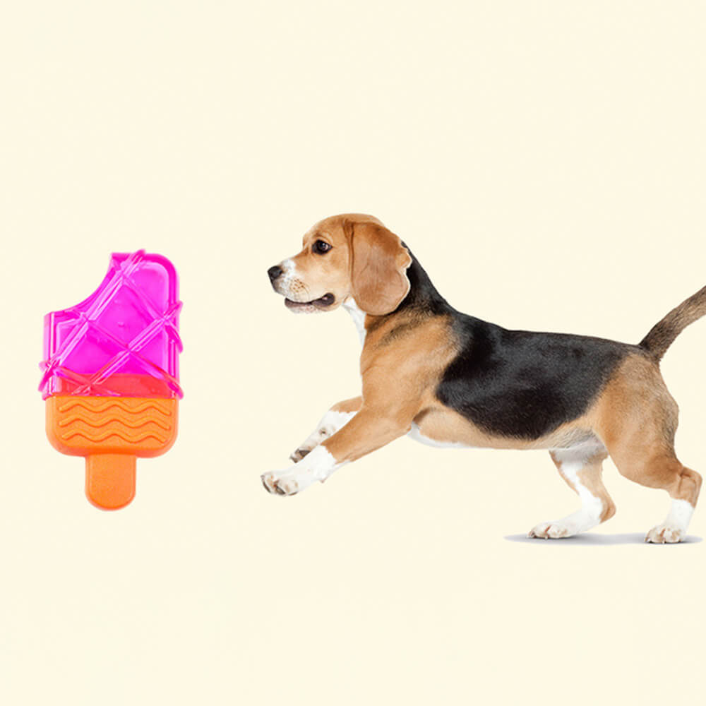 Juguete interactivo para perros de TPR duradero con forma de paleta congelable