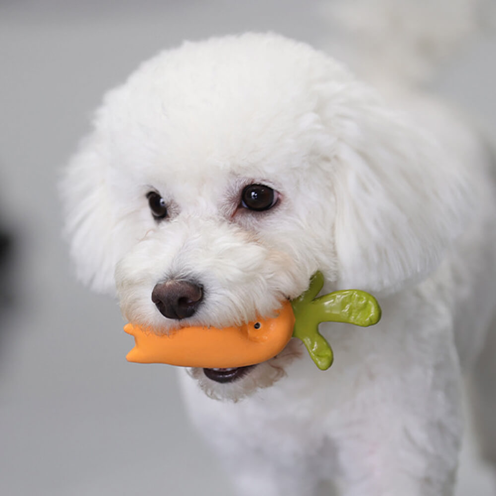 Juguete interactivo para perros masticable duradero y chirriante de látex vegetal