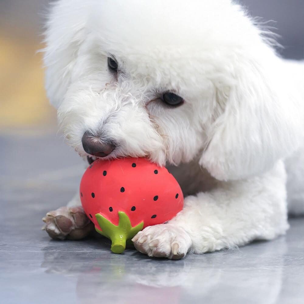 Juguete interactivo para perros masticable duradero y chirriante de látex vegetal