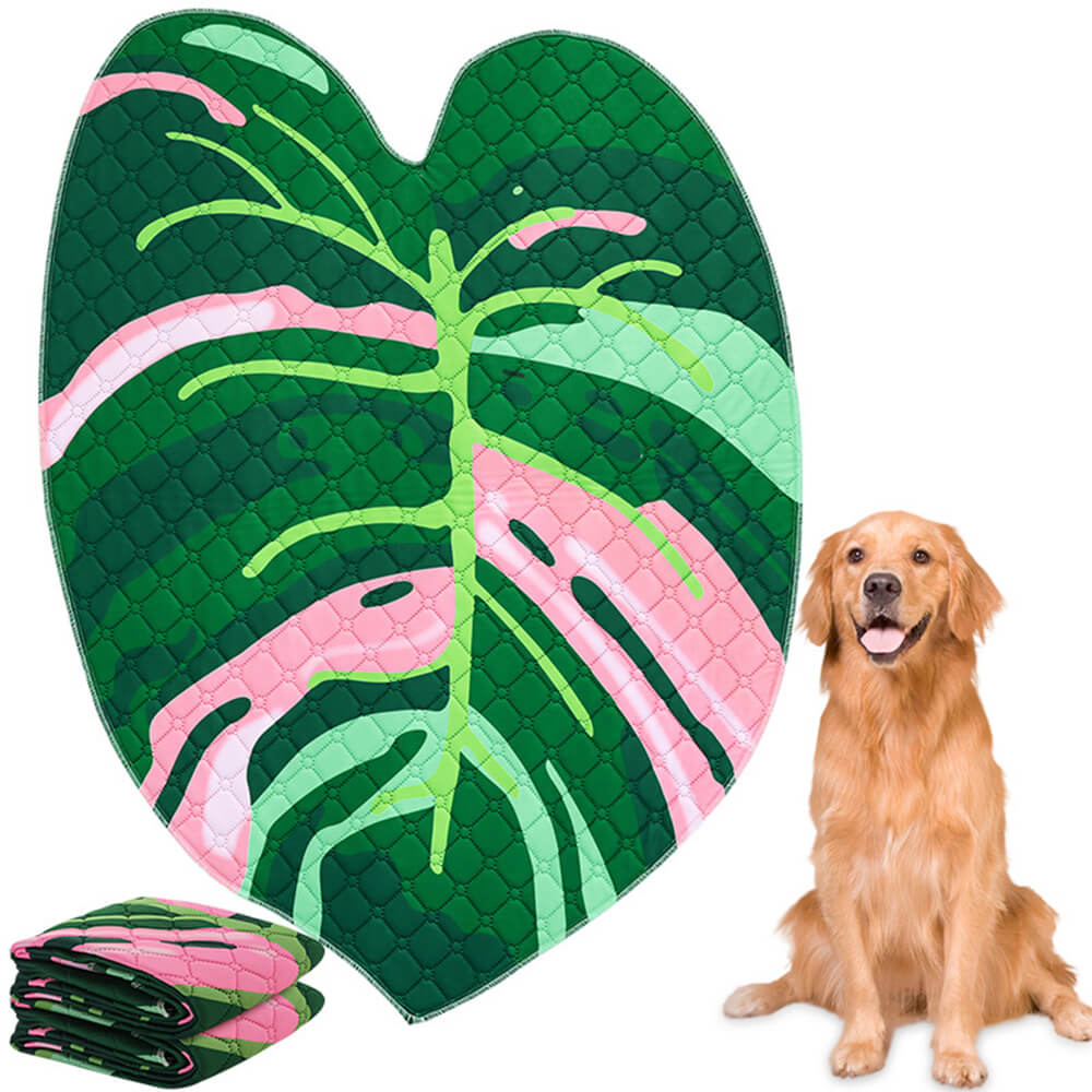 Alfombra para perros reutilizable, absorbente, lavable y antideslizante