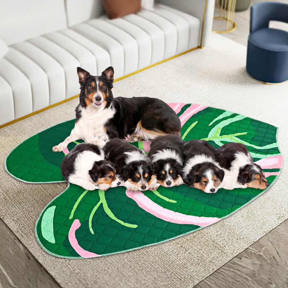Alfombra para perros reutilizable, absorbente, lavable y antideslizante