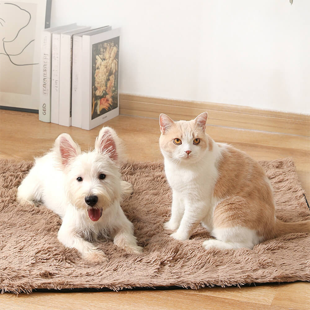 Alfombra suave y esponjosa para perros y gatos, antideslizante