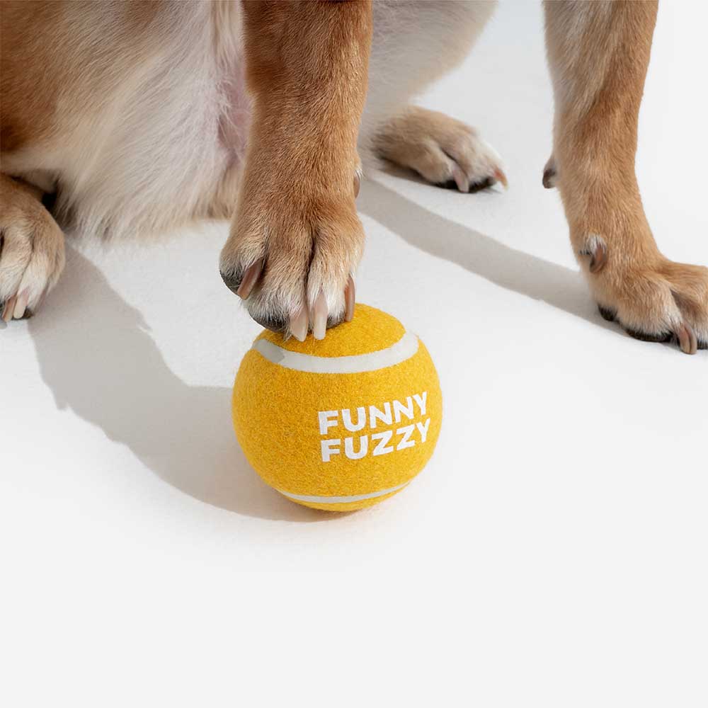 Pelota de tenis FUNNYFUZZY para perros: chirría y rebota