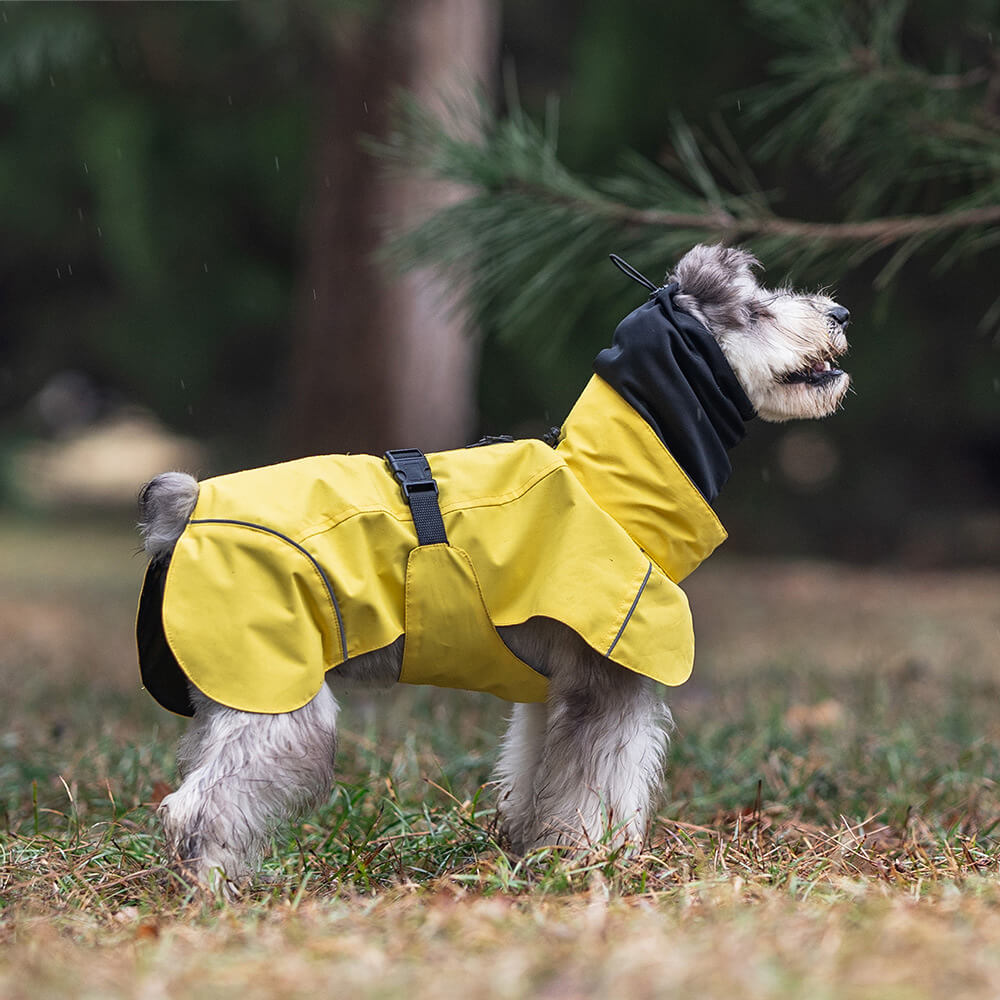 Poncho impermeable para perros con cuello alto, ligero, reflectante y ajustable