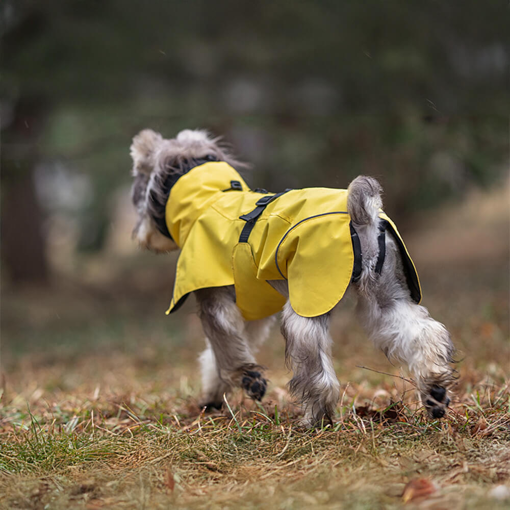 Poncho impermeable para perros con cuello alto, ligero, reflectante y ajustable