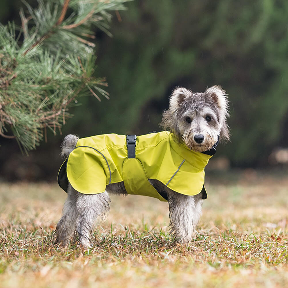 Poncho impermeable para perros con cuello alto, ligero, reflectante y ajustable