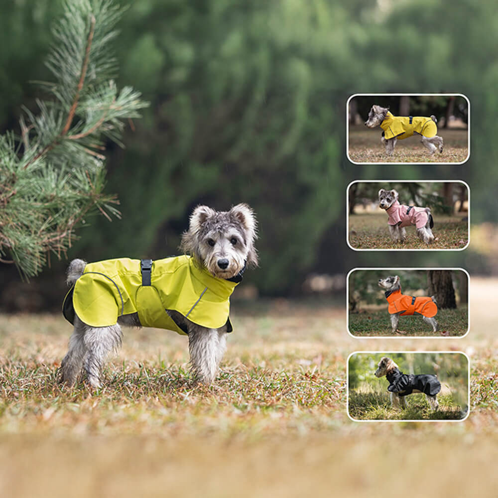 Poncho impermeable para perros con cuello alto, ligero, reflectante y ajustable